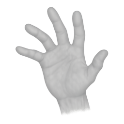 The Invisible Hand The Invisible Hand