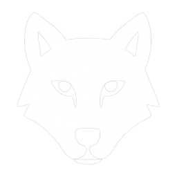 Wolf of Wall Street Wolf of Wall Street